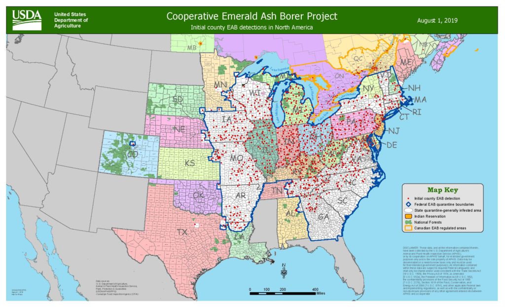 USDA releases new emerald ash borer detection map Emerald Ash Borer Photos 2025 Map