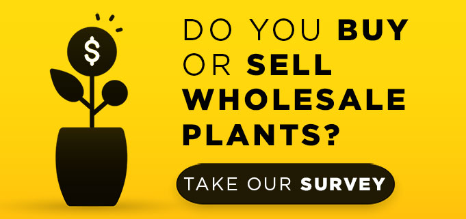 Do you buy or sell wholesale plants?