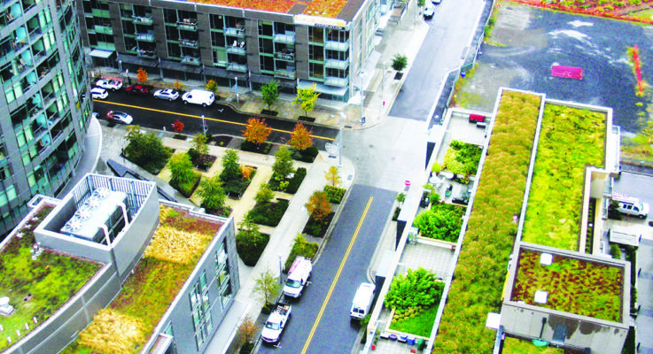 Green roofs are growing business for cities and the green industry