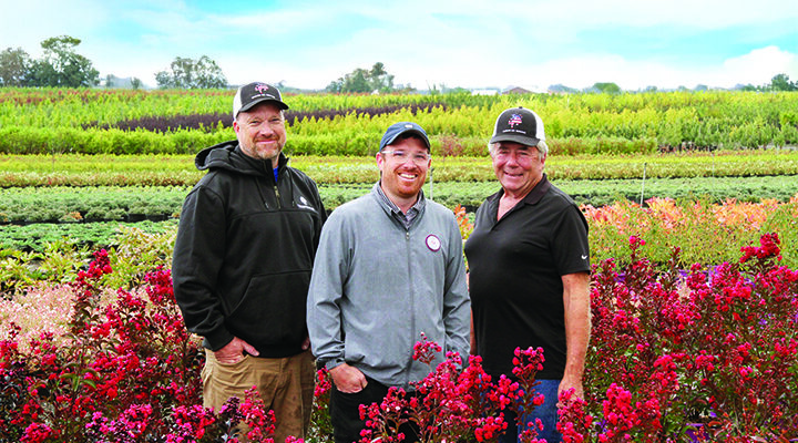 Profile: Krueger’s Tree Farm